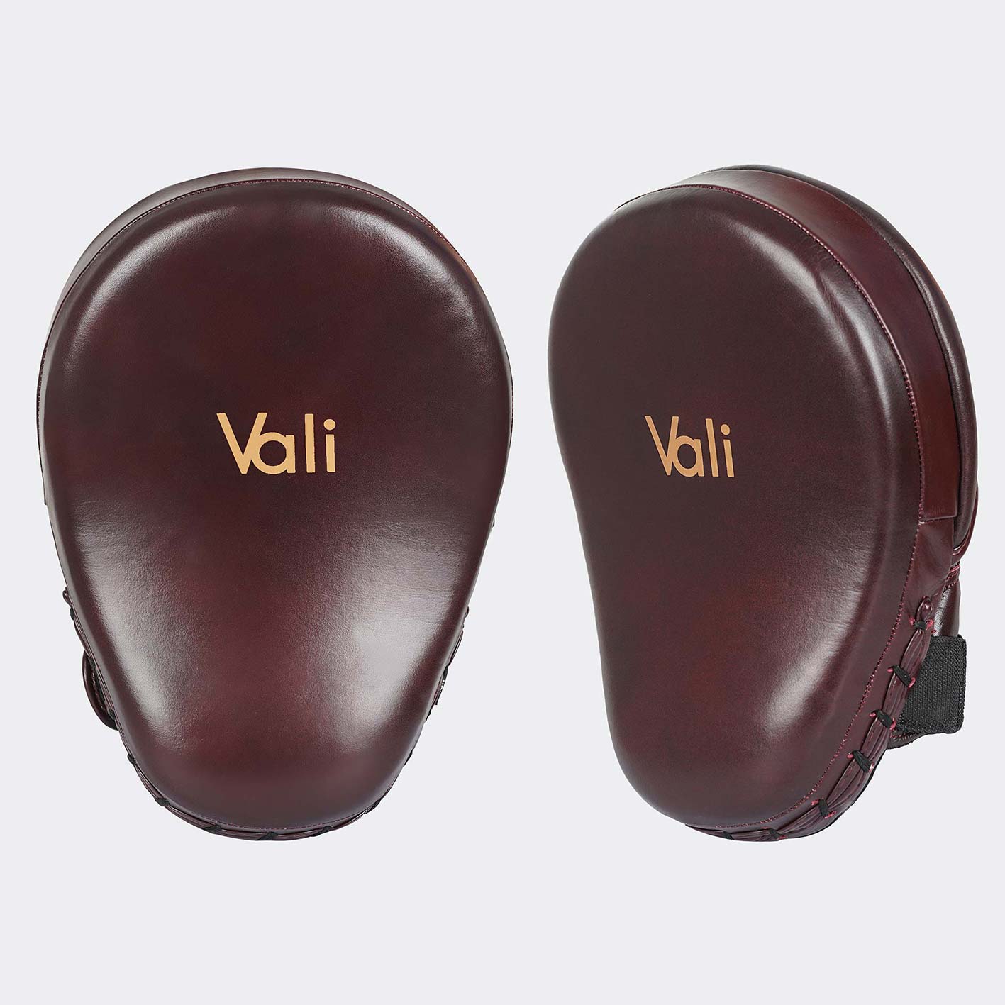 Lancer Focus Mitts - Image 10
