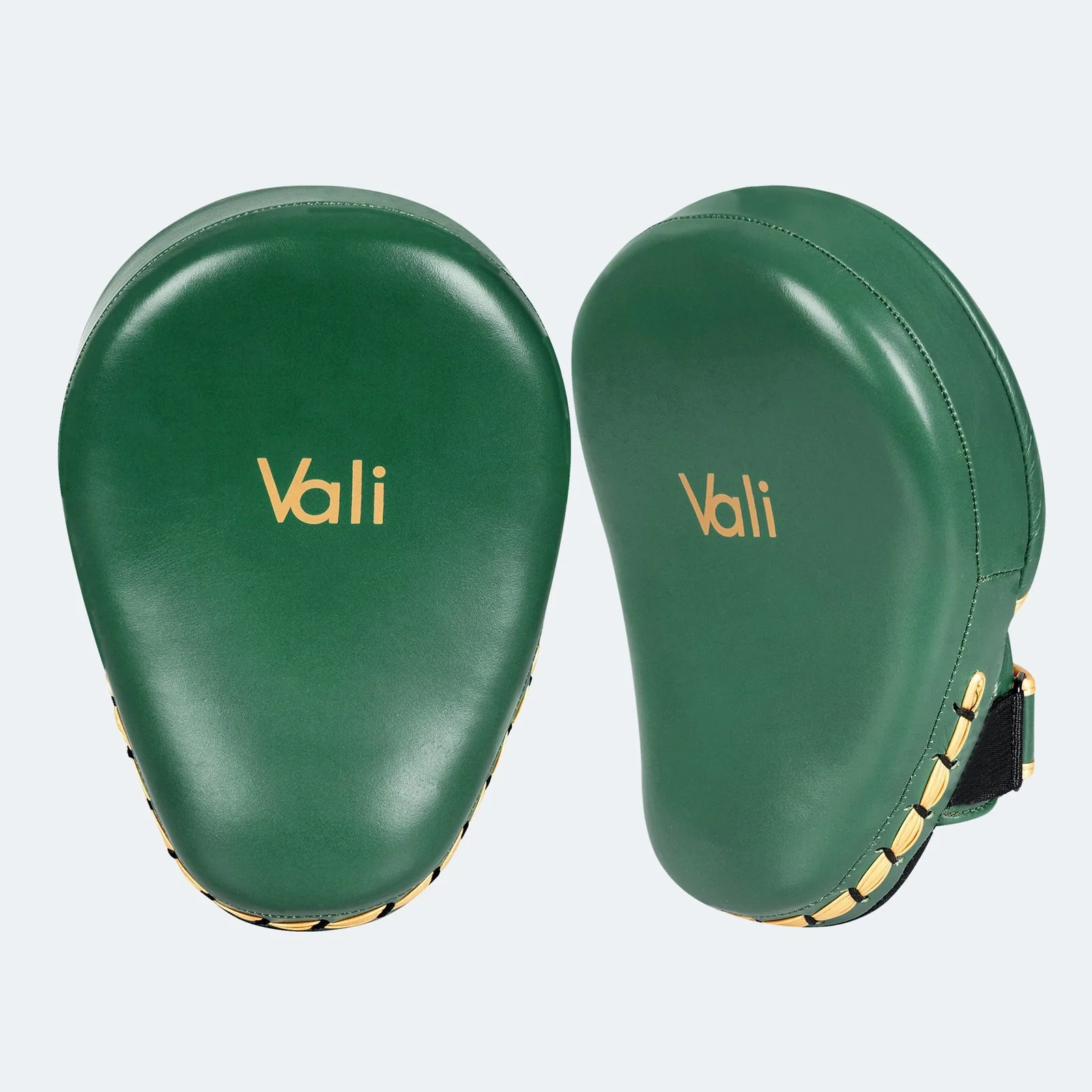 Lancer Focus Mitts - Image 13