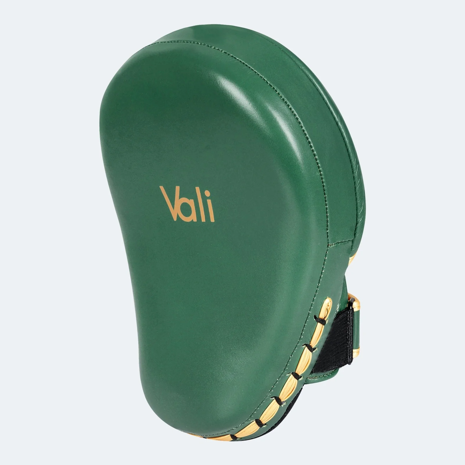 Lancer Focus Mitts - Image 15