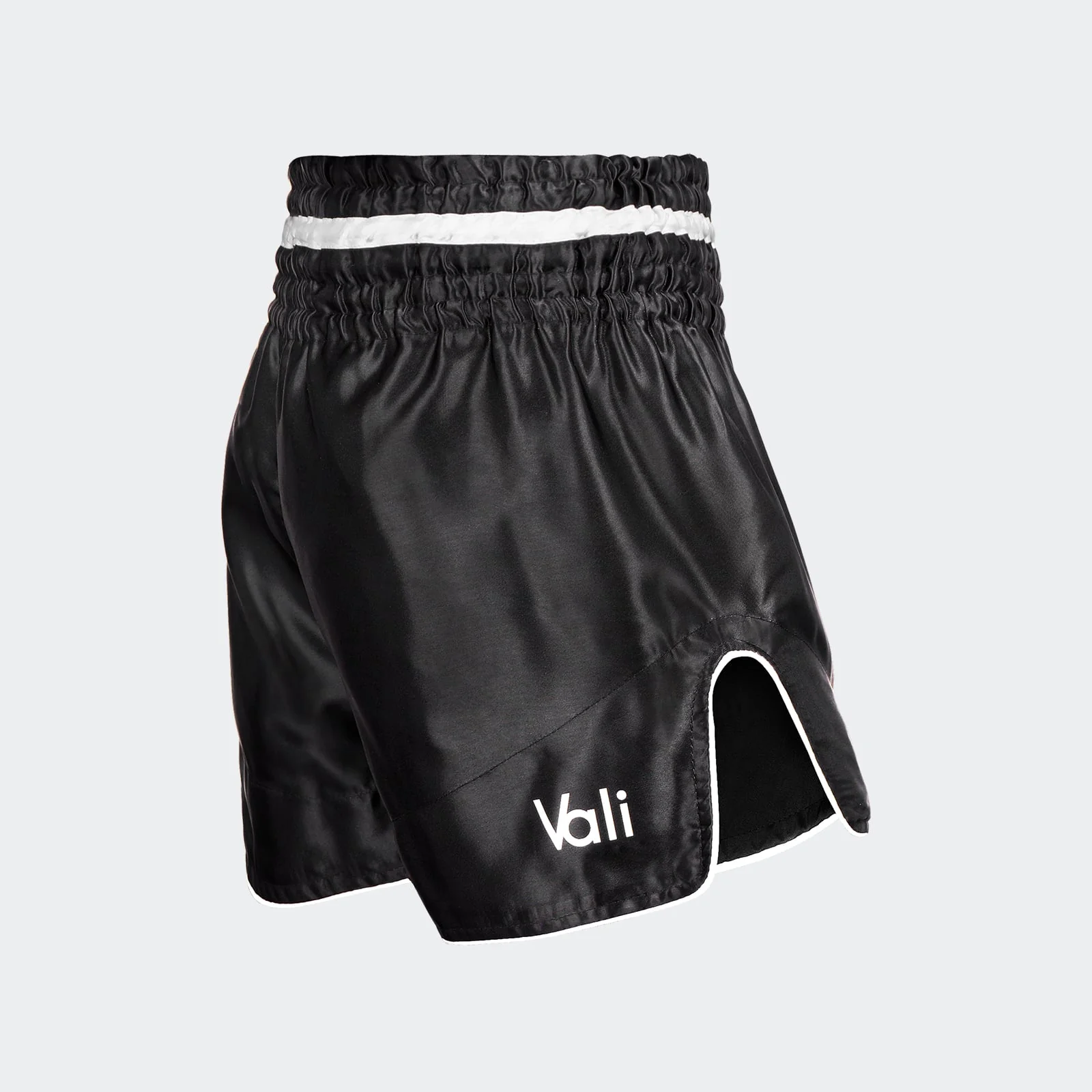 Ortal Muay Thai Shorts - Image 3